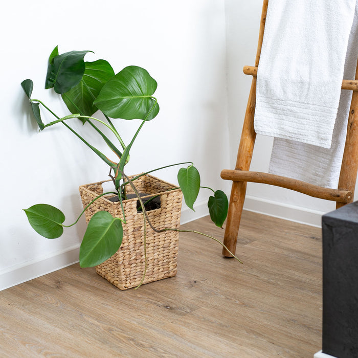 Papierkorb eckig aus Wasserhyazinthe fürs Büro von HMF